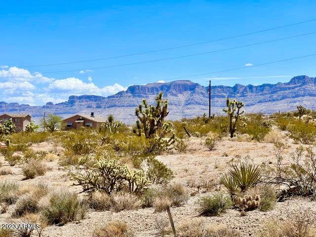 30390 Dutton Drive, Unit 182 Meadview, AZ 86444 - Photo 20 of 30 IMG-0969