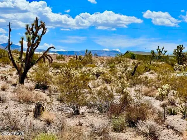 $6,900 | 30390 Dutton Drive, Unit 182, Meadview, AZ 86444