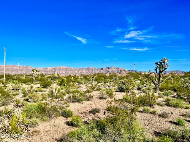 $6,900 | 30390 Dutton Drive, Unit 182, Meadview, AZ 86444