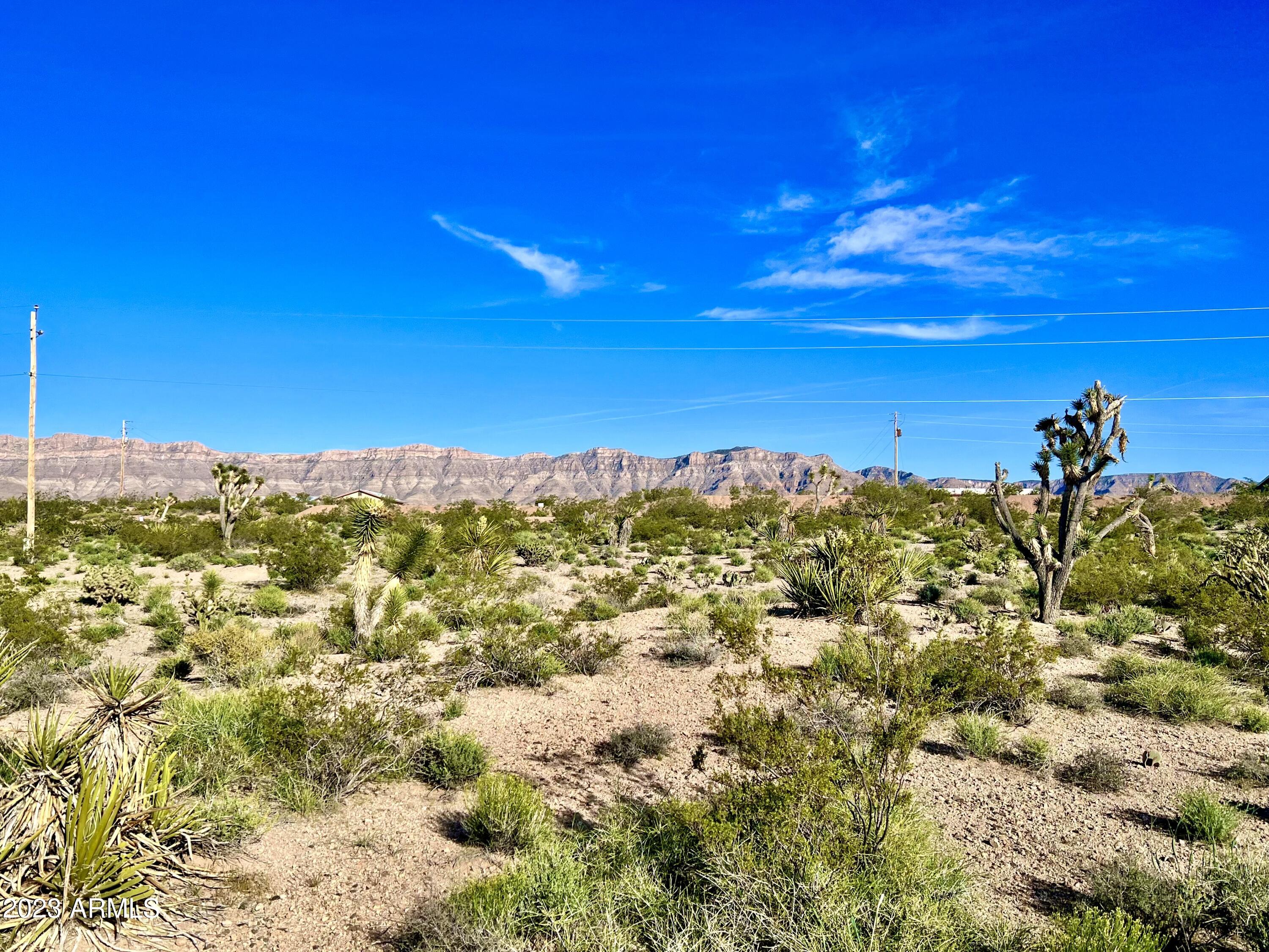 30390 Dutton Drive, Unit 182 Meadview, AZ 86444 - Photo 6 of 30 FullSizeRender (14)
