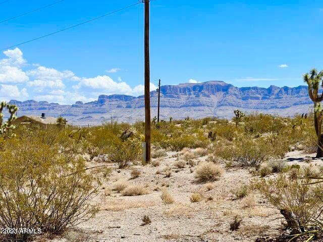 30390 Dutton Drive, Unit 182 Meadview, AZ 86444 - Photo 8 of 30 IMG-0979