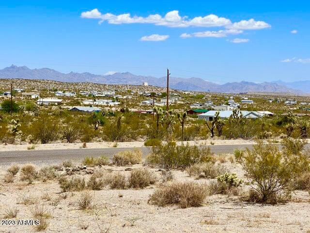 30390 Dutton Drive, Unit 182 Meadview, AZ 86444 - Photo 9 of 30 IMG-0985