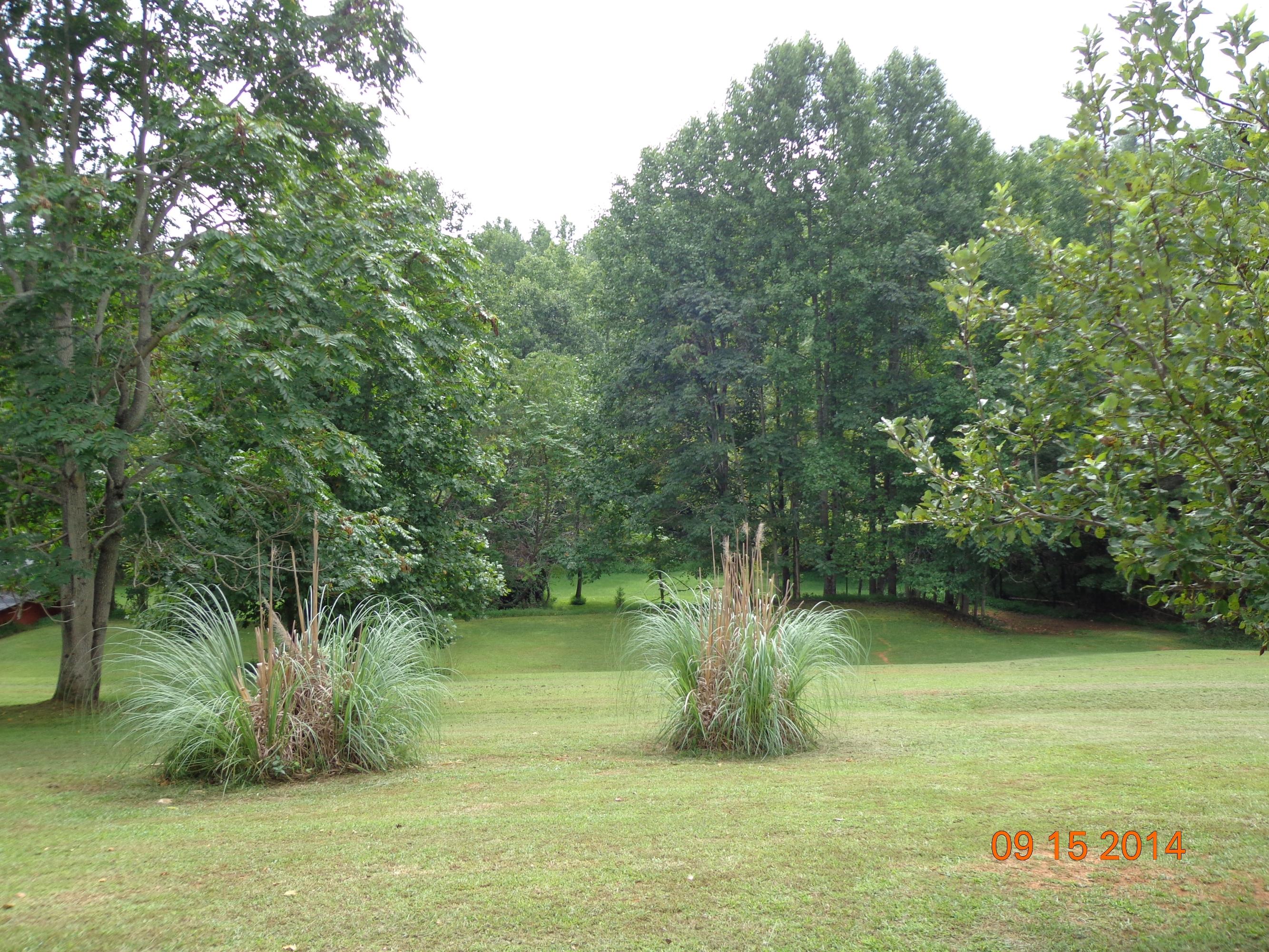 4652 Boones Mill Road Boones Mill, VA 24065 - Photo 3 of 29 landscaped yard