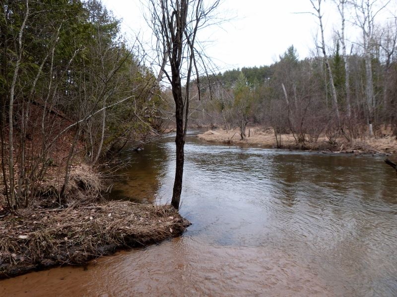 14524 Springdale Road Thompsonville, MI 49683 - Photo 48 of 54 1812798-47.JPG