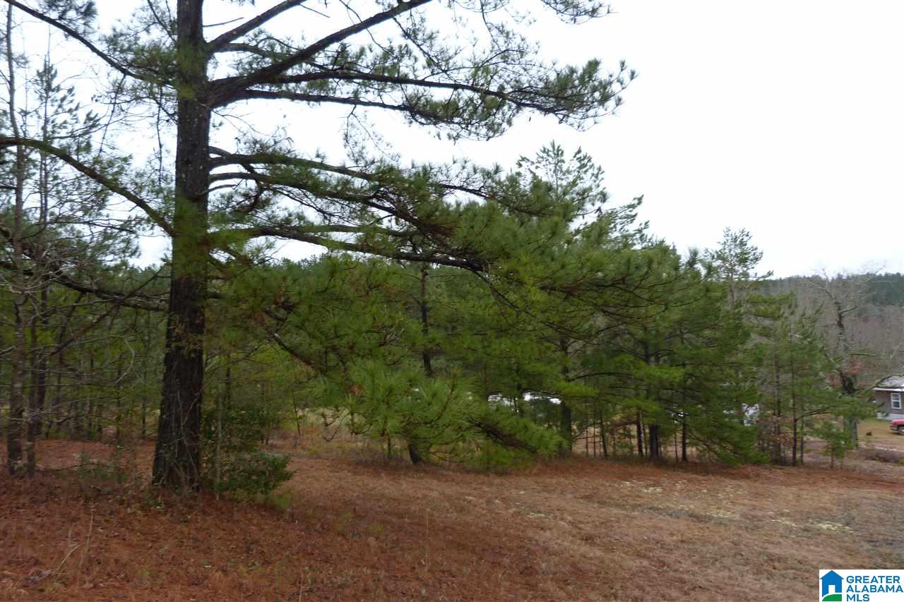 0 Antioch Road, Unit 77 Ashland, AL 36251 - Photo 1 of 3