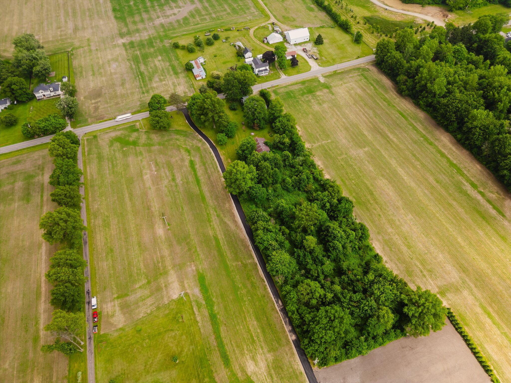 5431 Babbitt Road New Albany, OH 43054 - Photo 4 of 39
