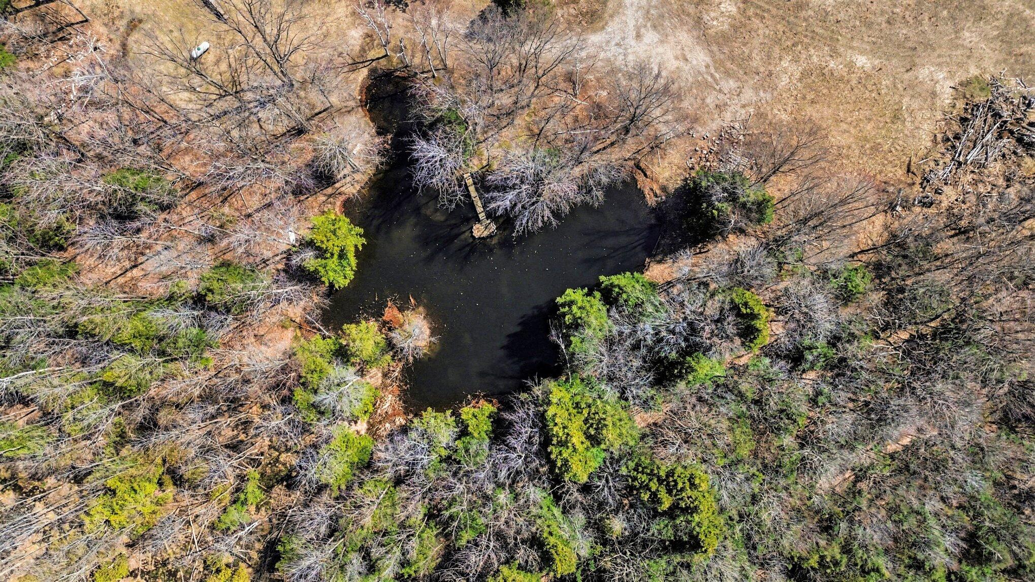 4786 Red Apple Road Manistee, MI 49660 - Photo 11 of 41 Private Pond