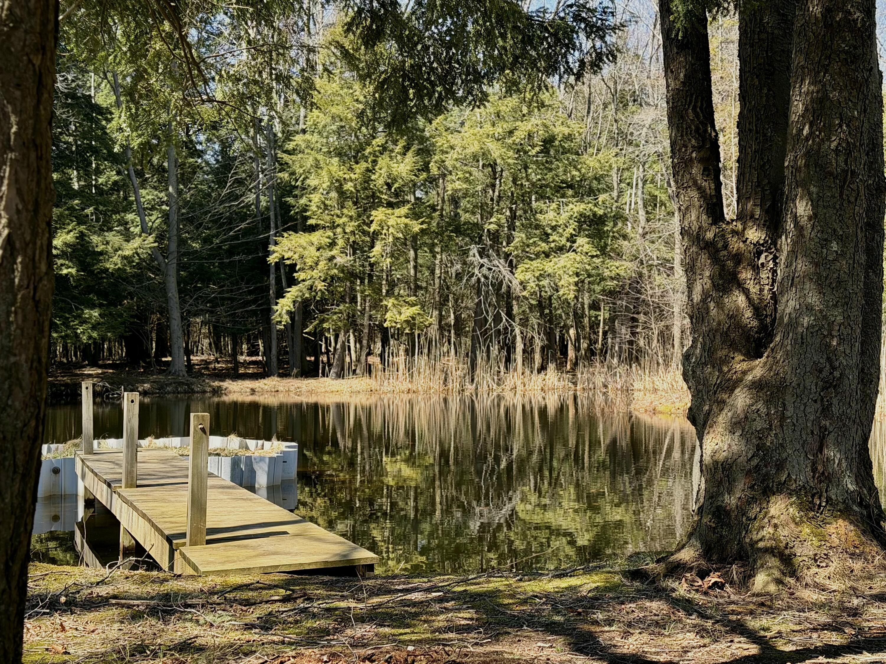 4786 Red Apple Road Manistee, MI 49660 - Photo 36 of 41 Private Dock & Pond