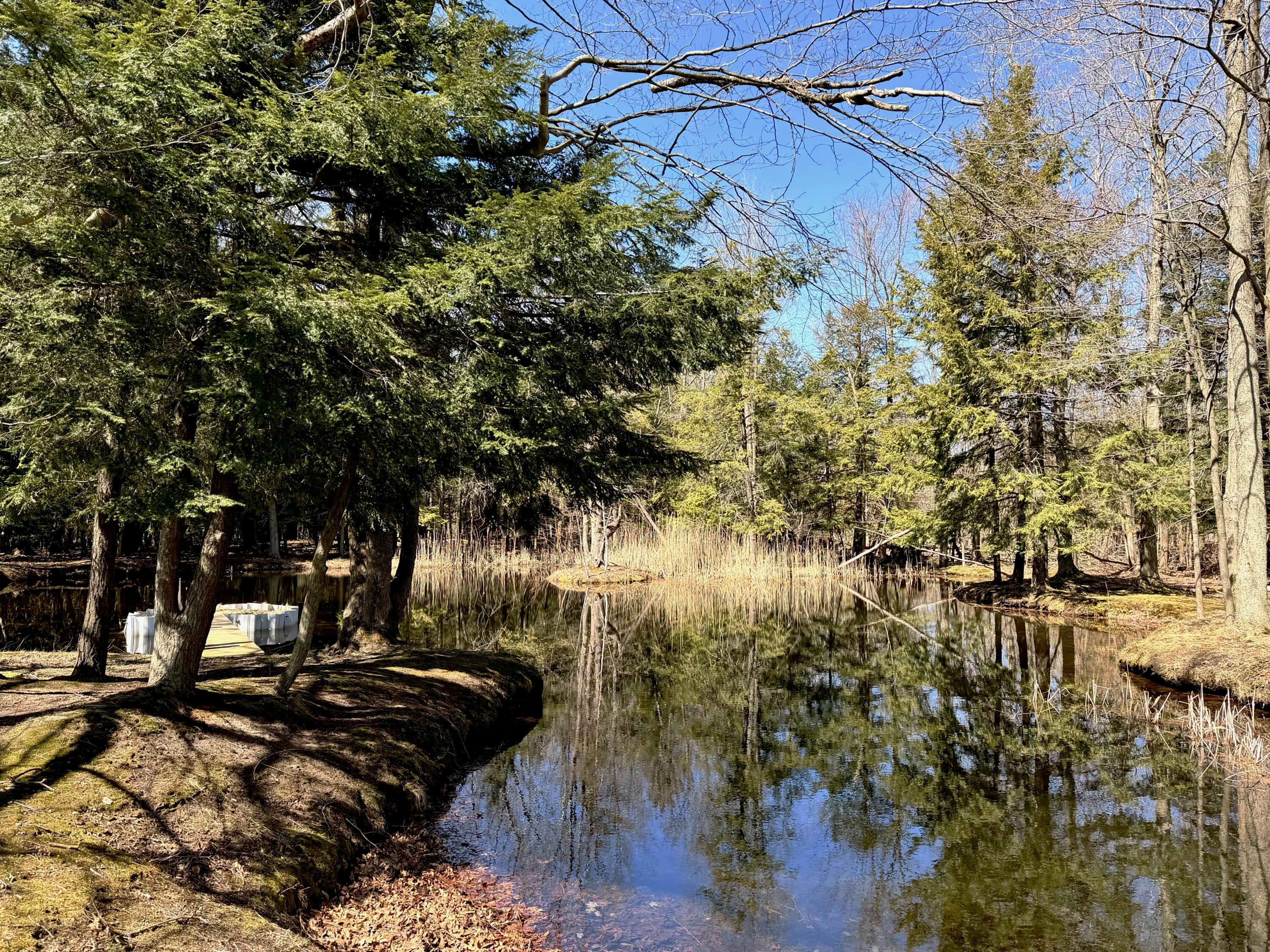 4786 Red Apple Road Manistee, MI 49660 - Photo 37 of 41 Private Pond