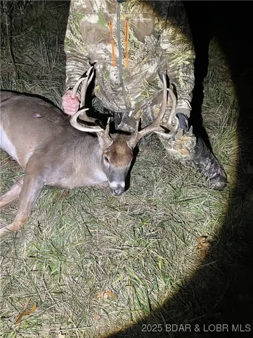 $1,495,000 | 7501 Nebo Road, Versailles, MO 65084