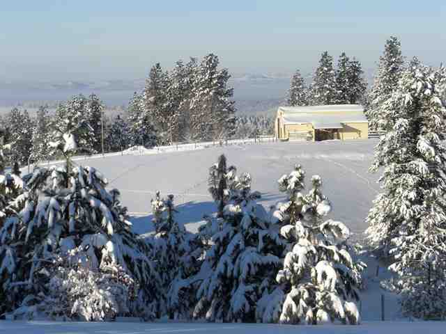 16641 Foothills Road Spokane, WA 99217 - Photo 7 of 9 Gallery Image 7