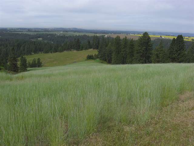 16641 Foothills Road Spokane, WA 99217 - Photo 8 of 9 Gallery Image 8