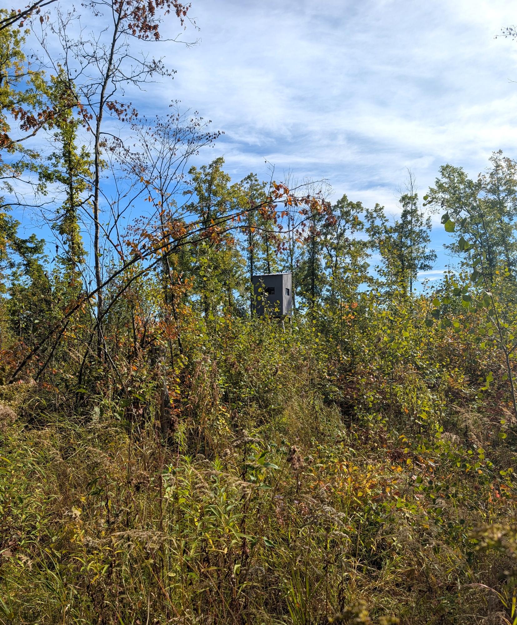 Off Birch Lake Road Exeland, WI 54835 - Photo 33 of 44 Gallery Image 33