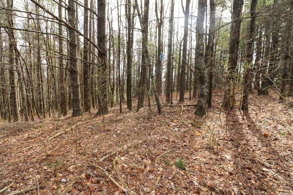 Tbd Tbd Keno Road, Unit 1 Laurel Fork, VA 24352 - Photo 14 of 20 Gallery Image 14