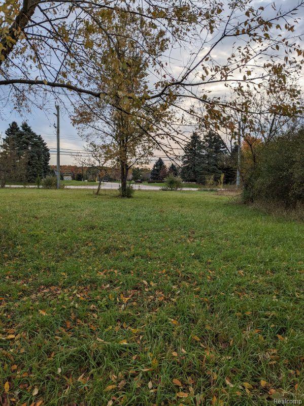 12885 Ebeling Road Romeo, MI 48065 - Photo 2 of 4 Survey Pic.JPG