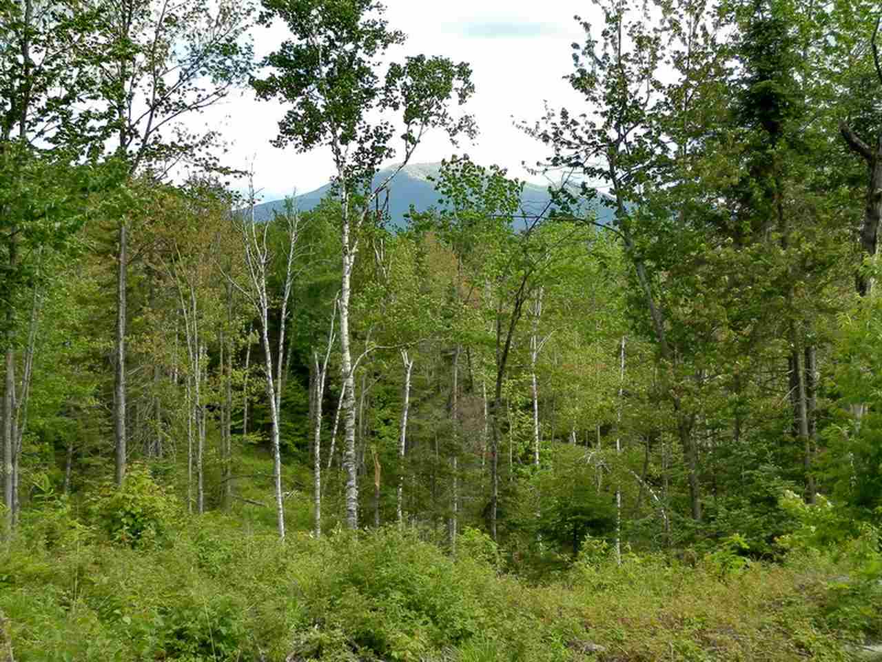 Lot #2 Upper Valley Road Bethlehem, NH 03574 - Photo 14 of 23