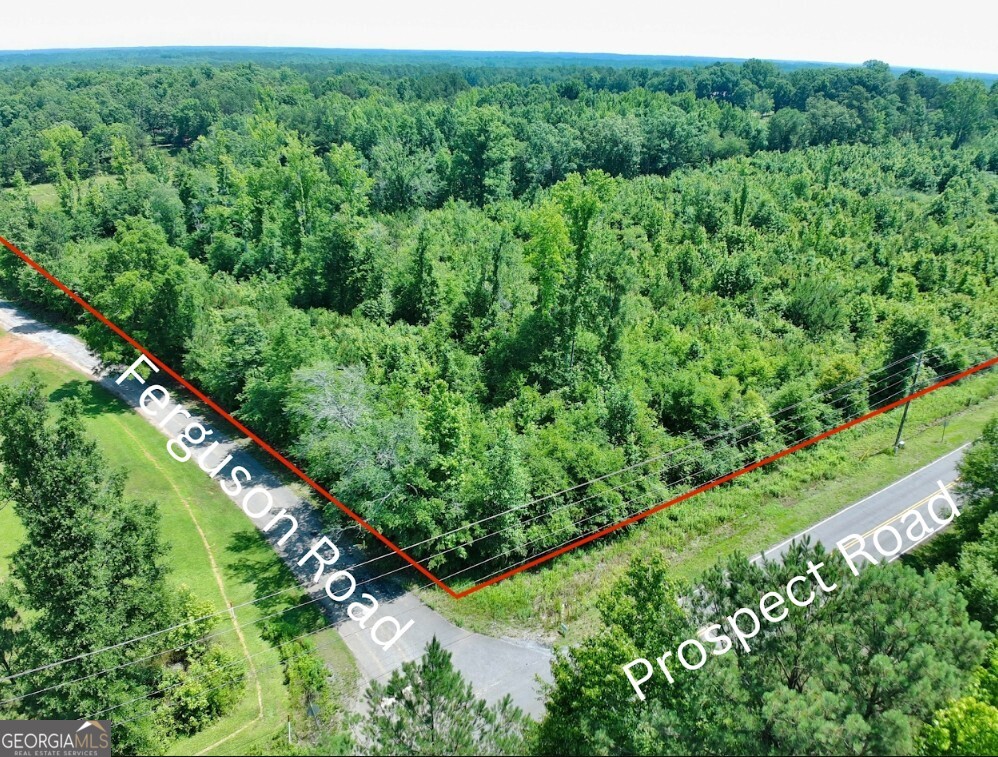 0 Prospect Road Nauvoo, AL 35578 - Photo 2 of 19