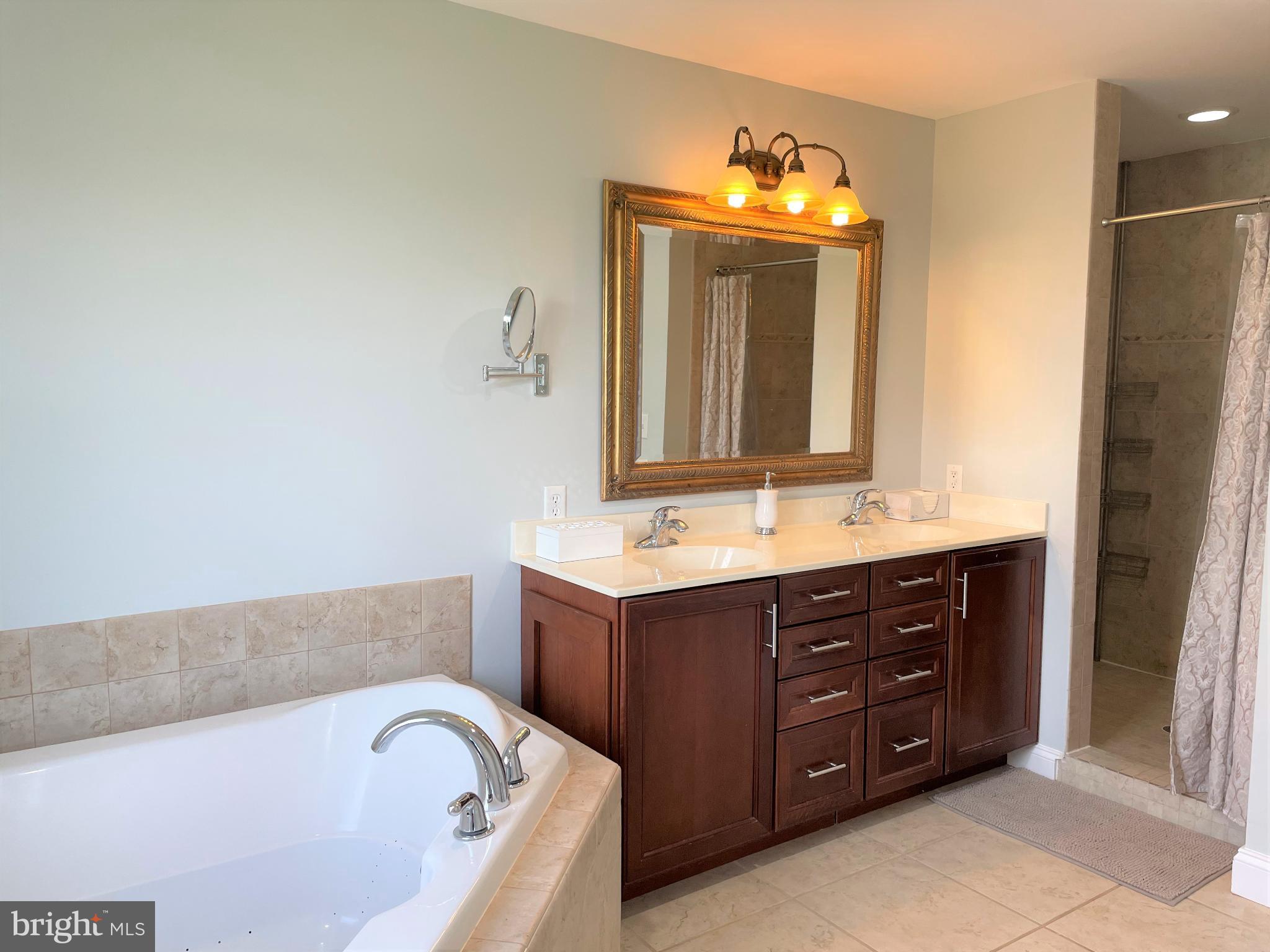 226 Bentons Pleasure Road Chester, MD 21619 - Photo 30 of 45 Elegant bathroom with modern fixtures.