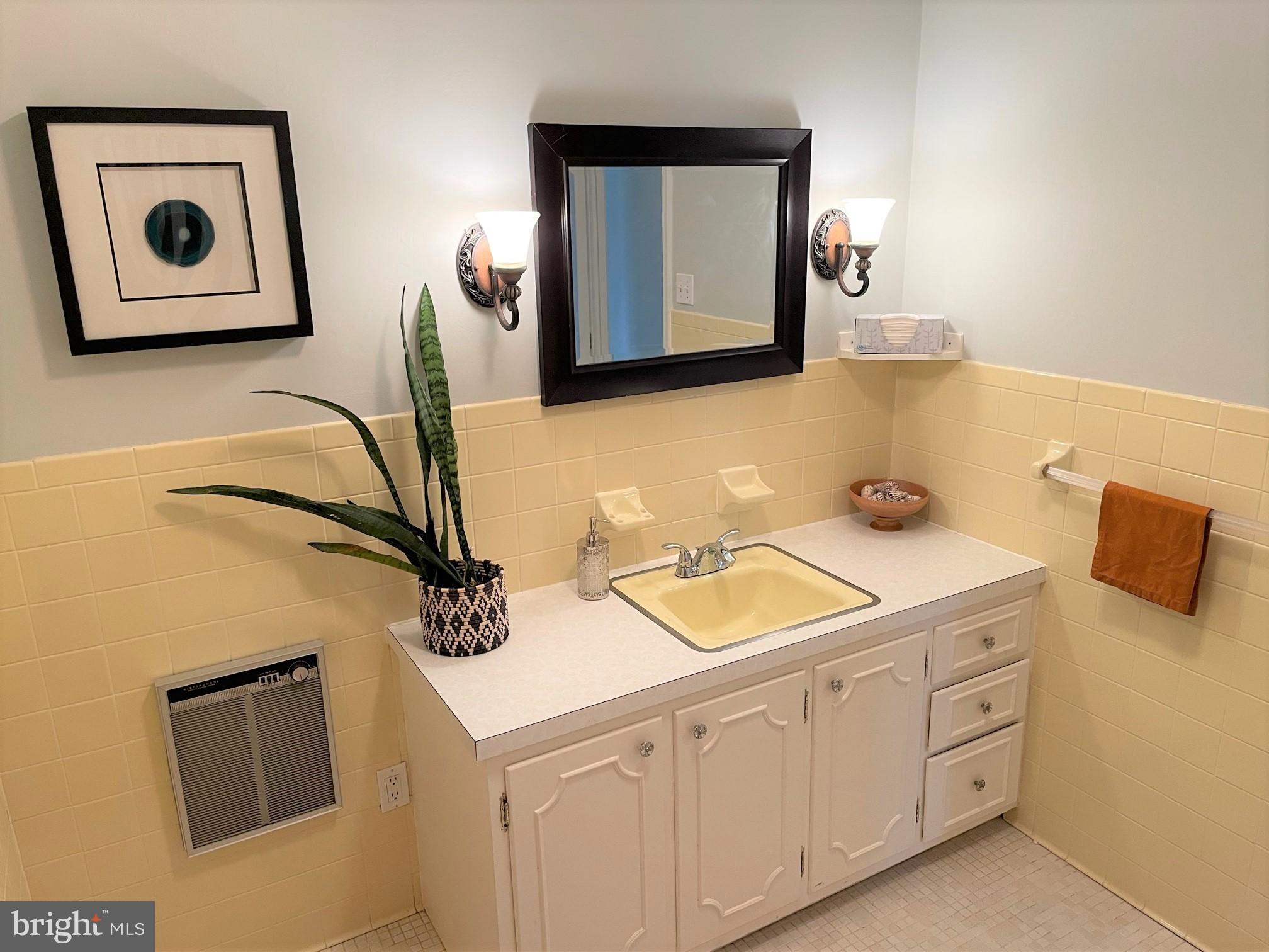 226 Bentons Pleasure Road Chester, MD 21619 - Photo 38 of 49 a bathroom with a sink and a mirror