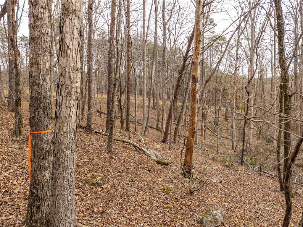 167 Henderson Mountain Road Jasper, GA 30143 - Photo 6 of 22 Gallery Image 6