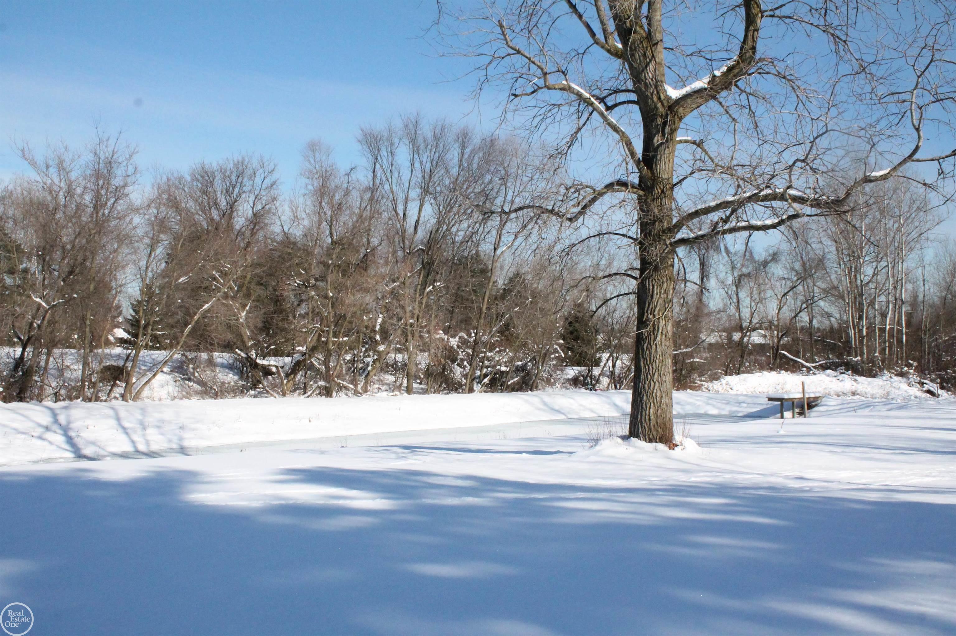 3233 Babcock Road Lexington, MI 48450 - Photo 7 of 51 50100780-6.JPG
