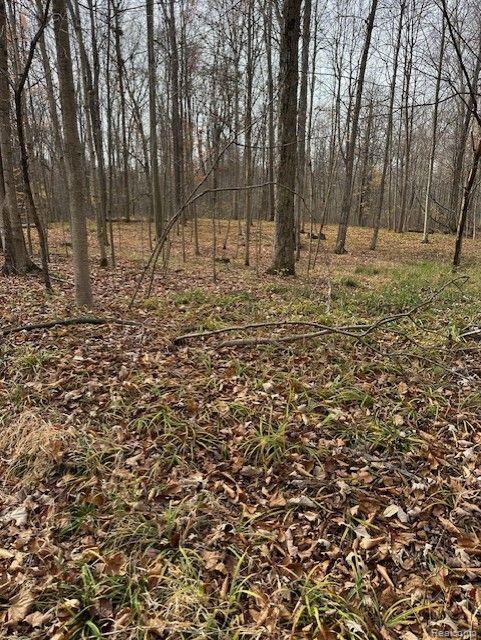 8438 Jordan Road Grand Blanc, MI 48439 - Photo 13 of 32