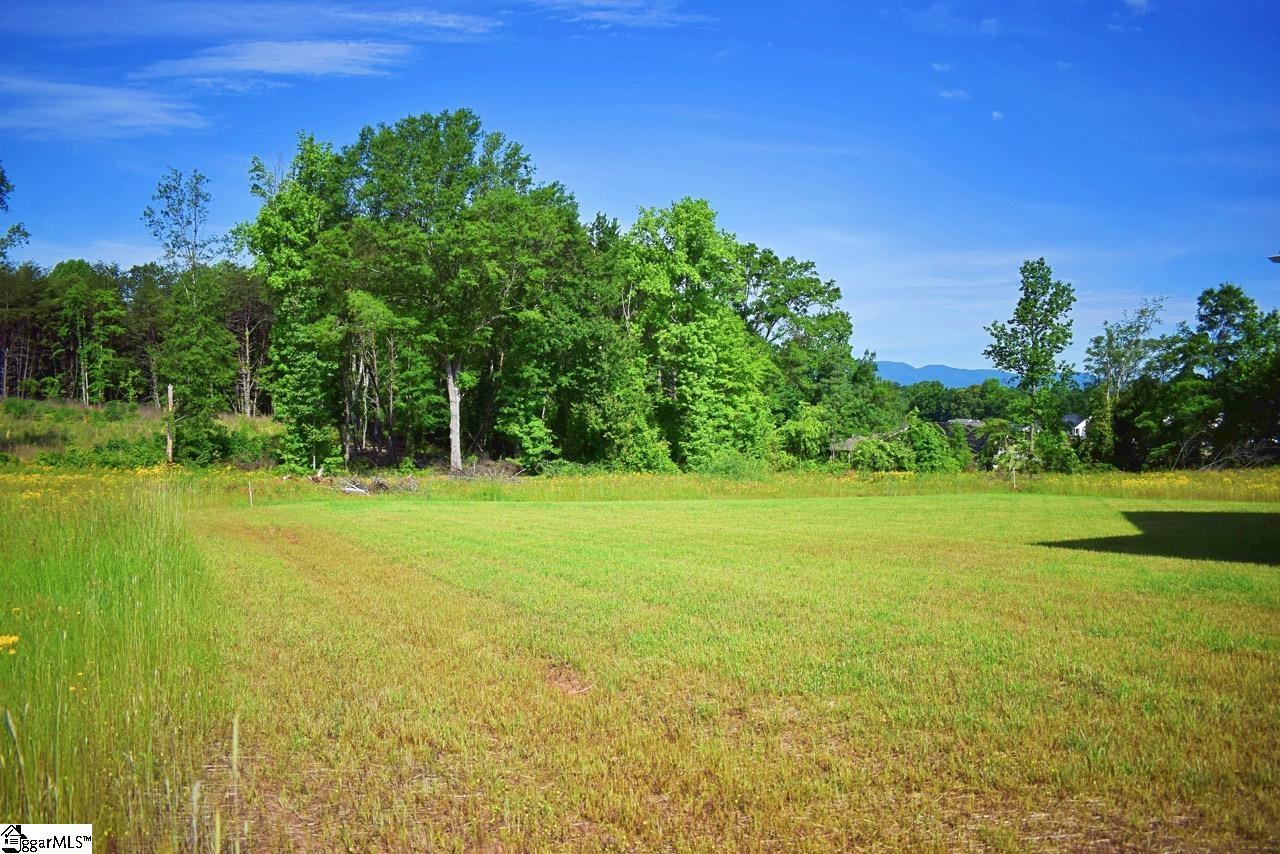 441 Gramling School Road Inman, SC 29349 - Photo 13 of 18