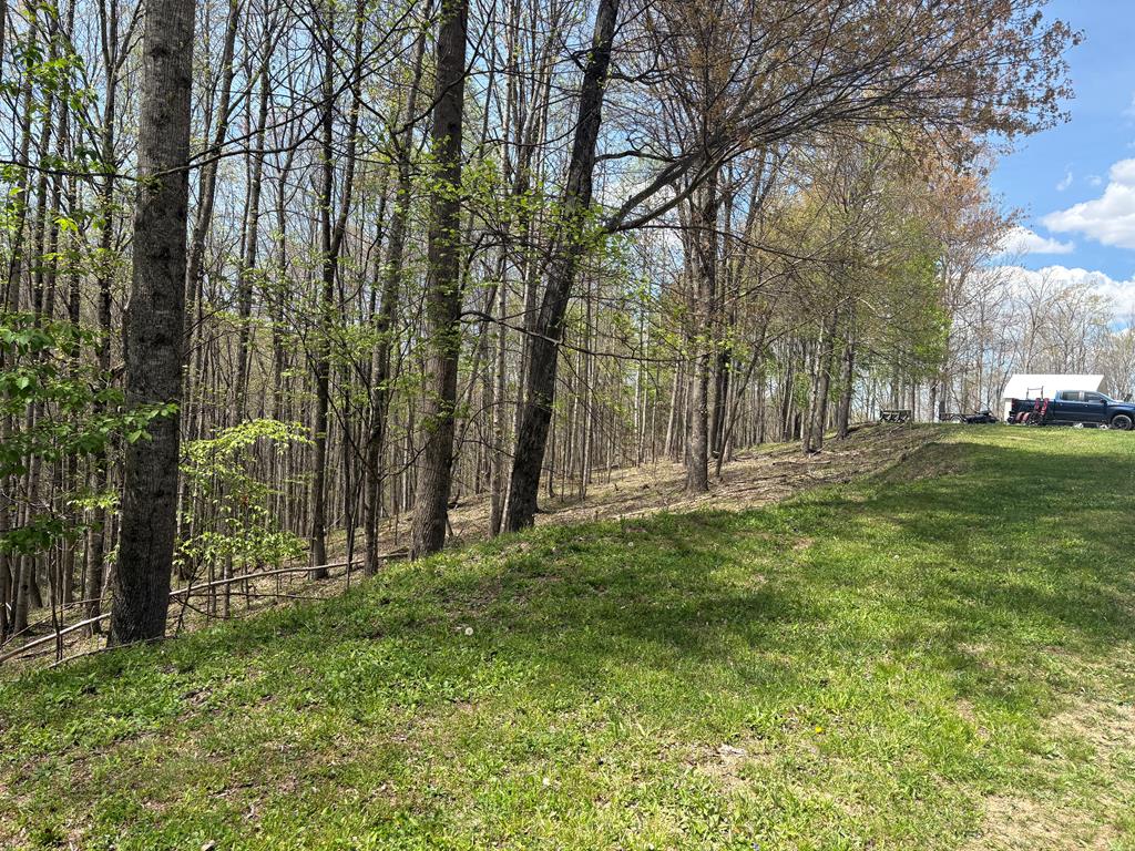 3327 Horton Ridge Road Swords Creek, VA 24649 - Photo 5 of 27 Gallery Image 5