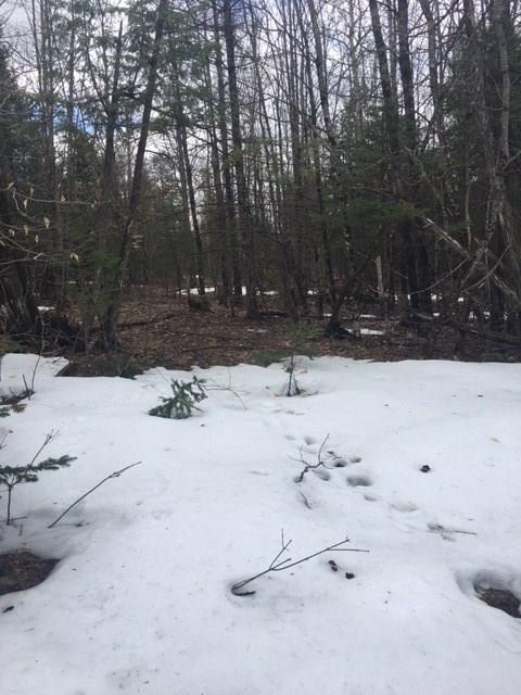 M13 Higgins Road Pittsfield, ME 04967 - Photo 4 of 4 Photo