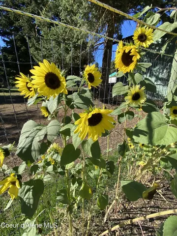 $1,100,000 | 7088 North Colfax Street, Dalton Gardens, ID 83815