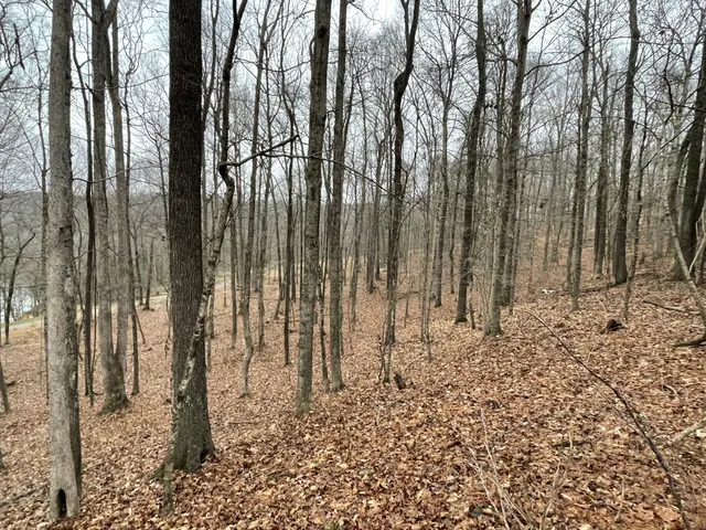 a view of a backyard of the house
