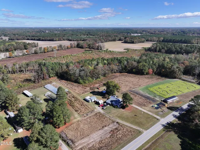 a view of swimming pool with a garden and lawn chairs