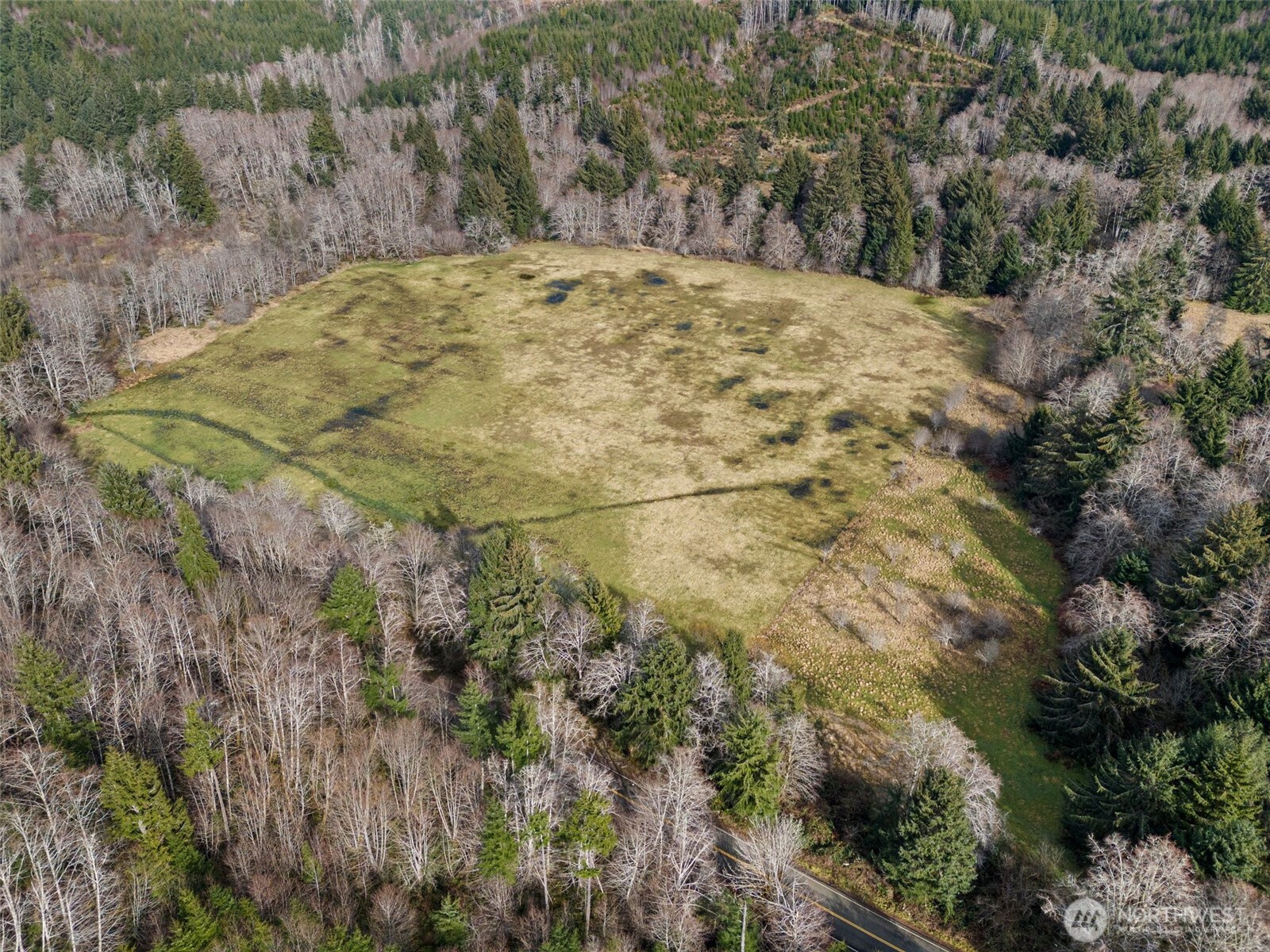 -xxx Rue Creek Road Raymond, WA 98577 - Photo 12 of 21 a view of small yard