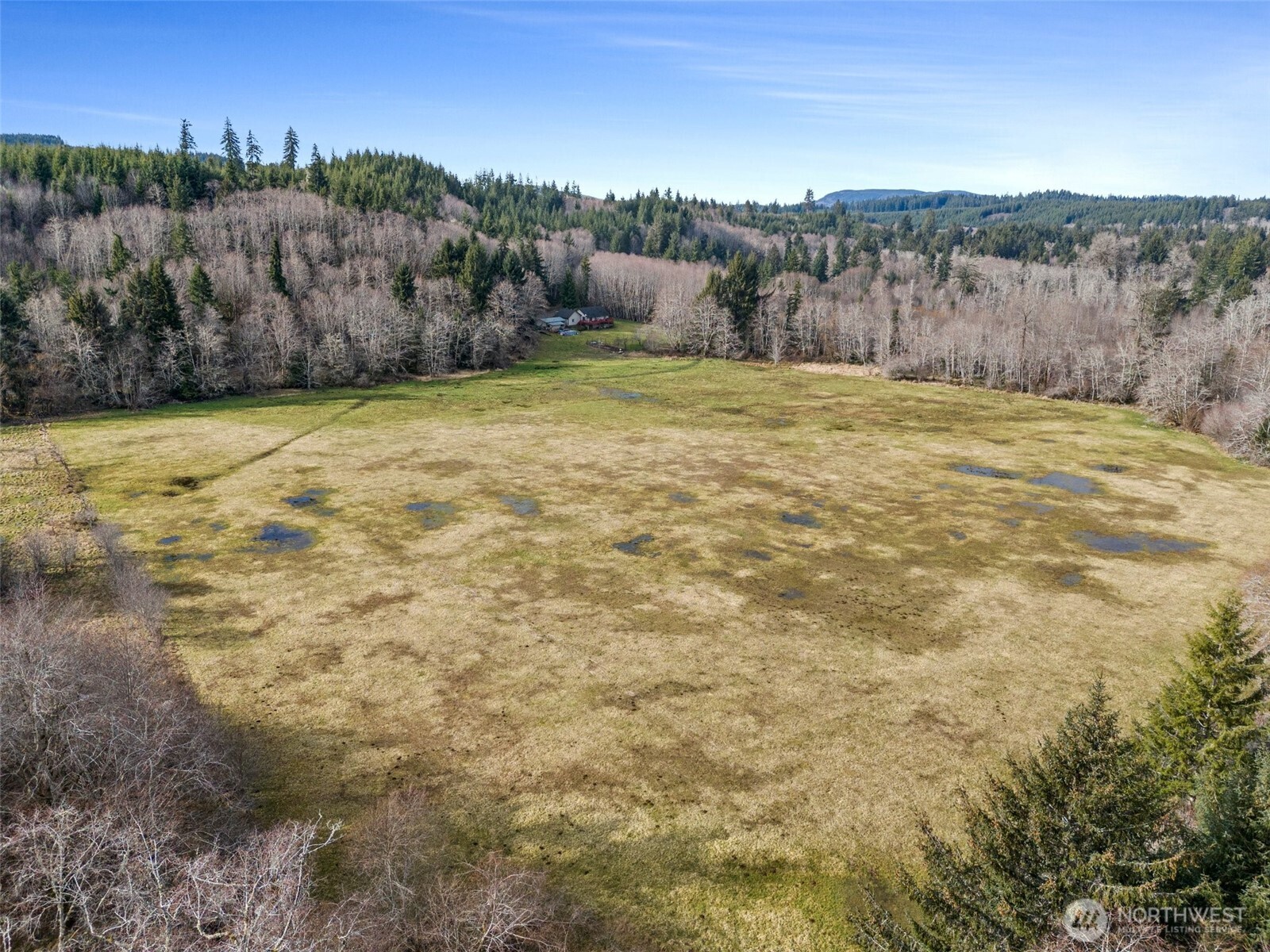 -xxx Rue Creek Road Raymond, WA 98577 - Photo 13 of 21 a view of a backyard