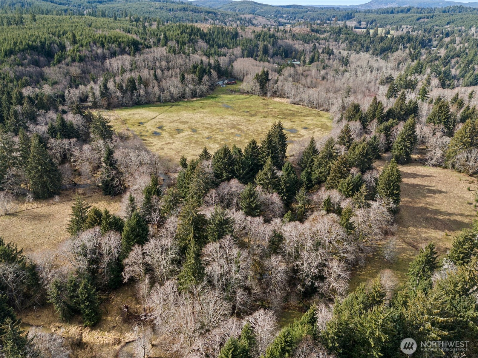 -xxx Rue Creek Road Raymond, WA 98577 - Photo 17 of 21 a view of a yard with a house