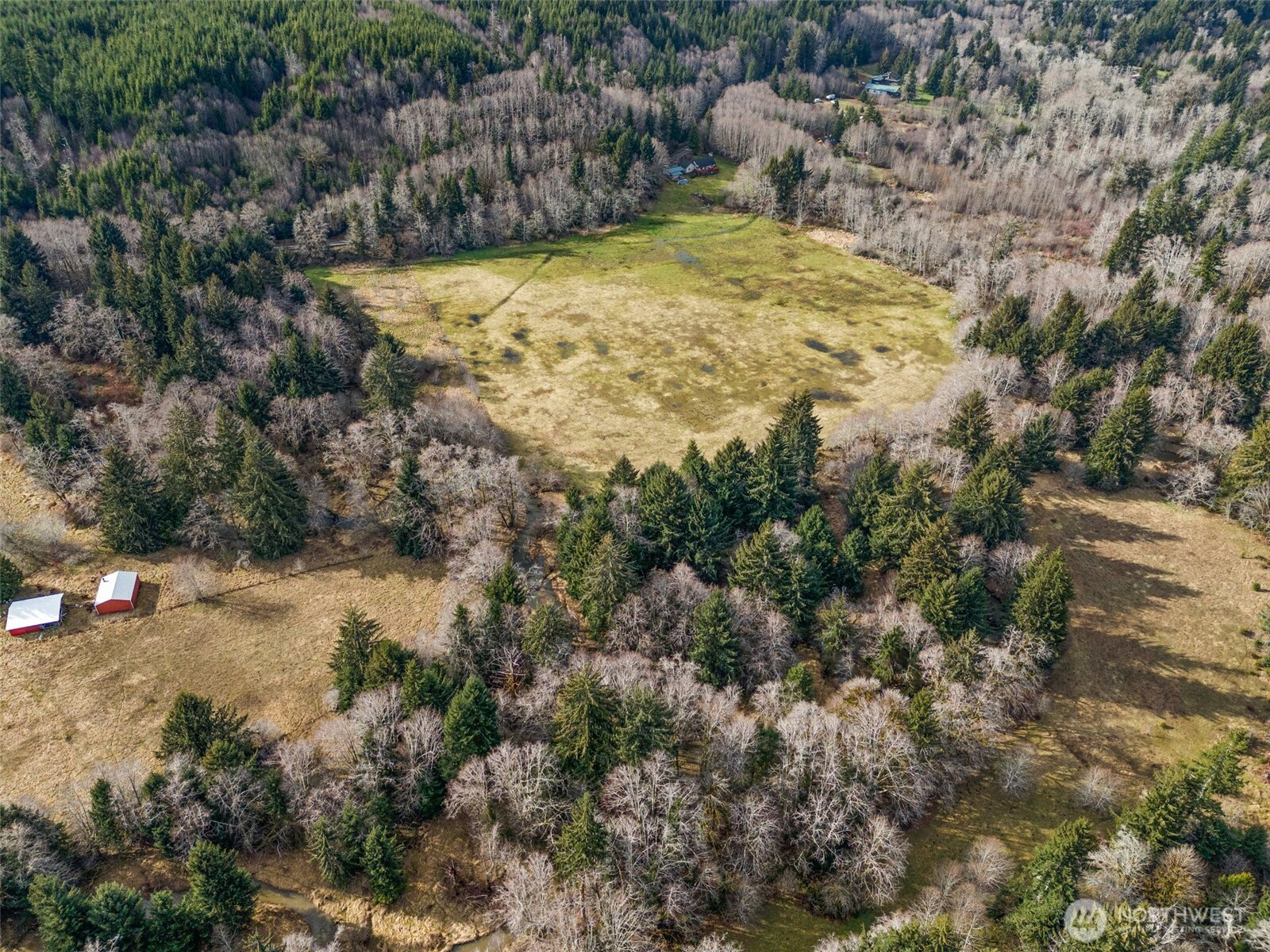 -xxx Rue Creek Road Raymond, WA 98577 - Photo 18 of 21 a view of swimming pool and trees
