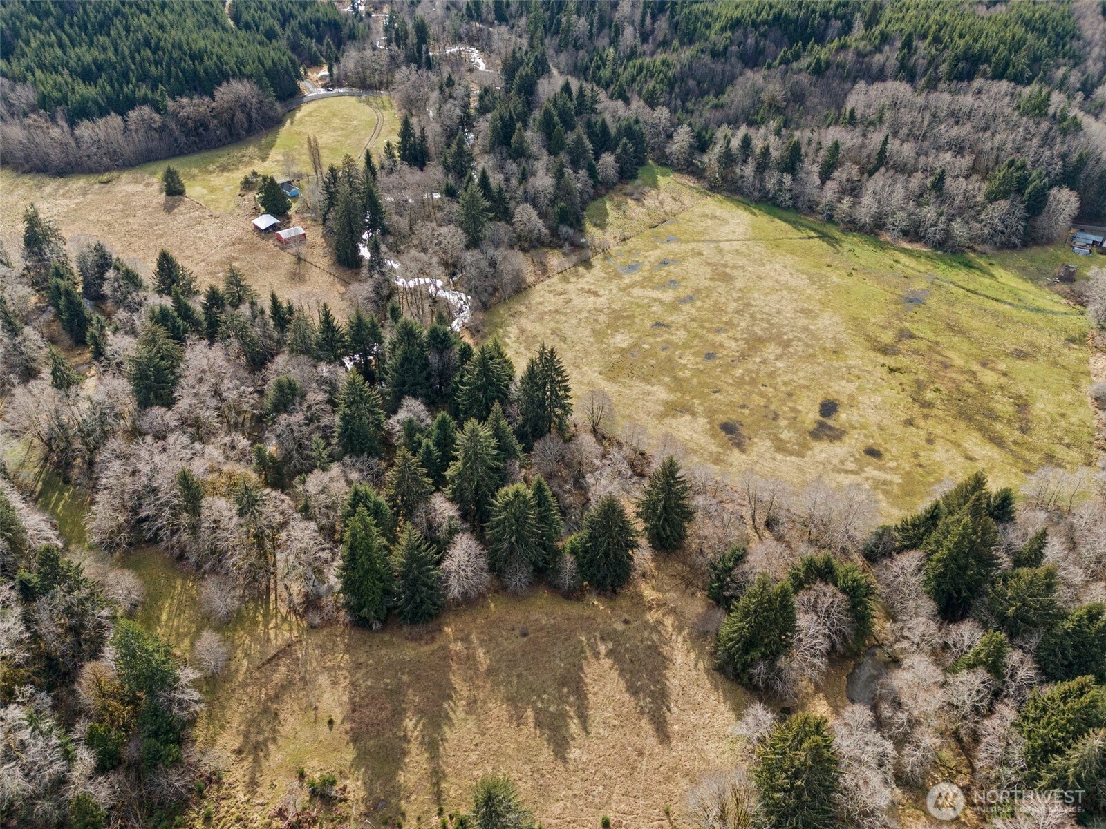 -xxx Rue Creek Road Raymond, WA 98577 - Photo 19 of 21 a view of a yard with a tree