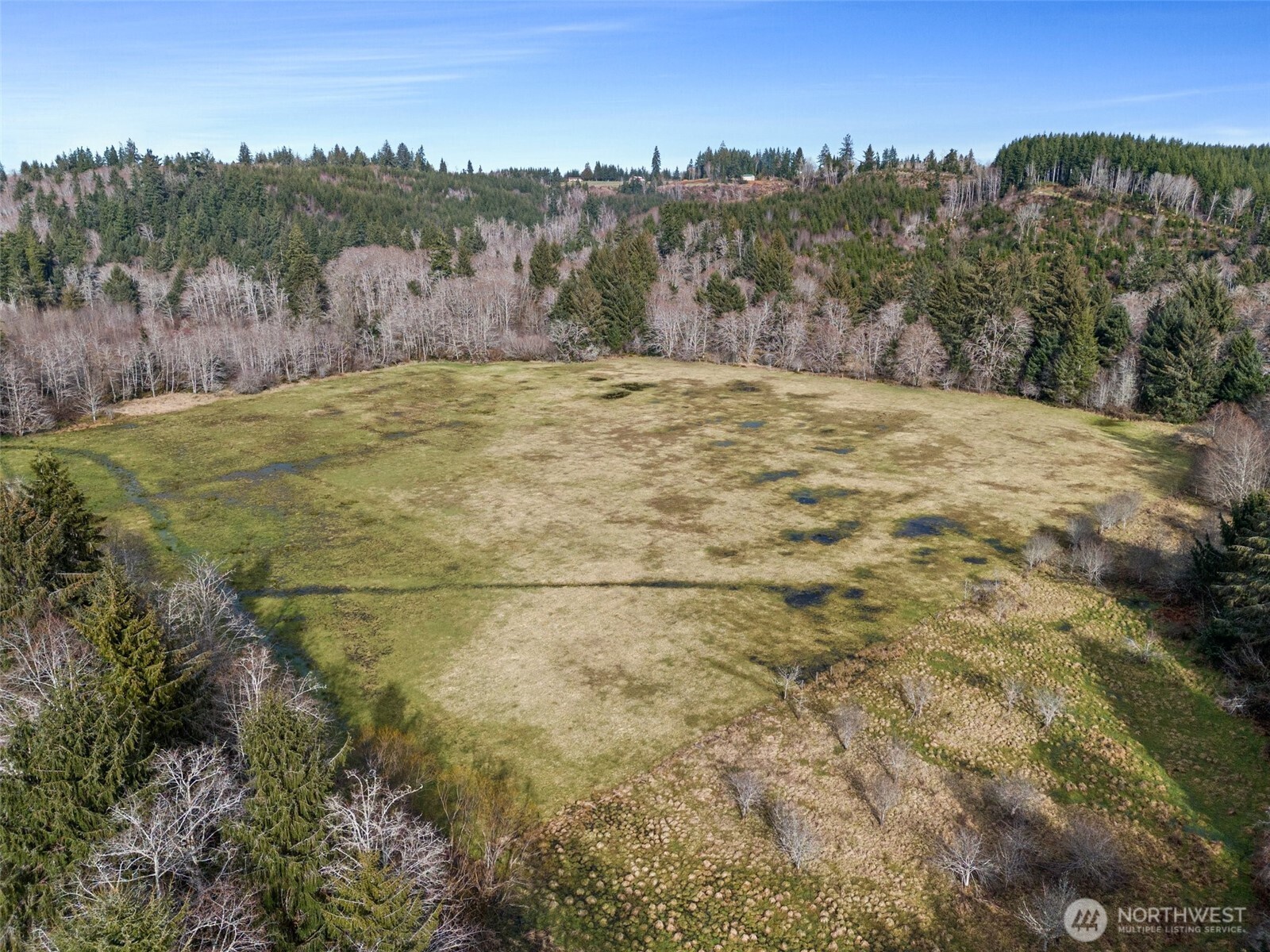 -xxx Rue Creek Road Raymond, WA 98577 - Photo 2 of 21 a view of a yard with mountain
