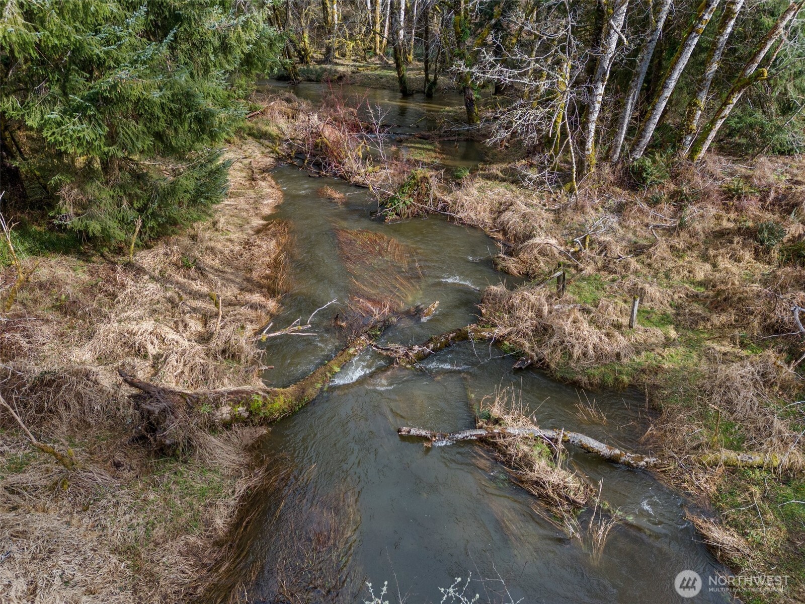 -xxx Rue Creek Road Raymond, WA 98577 - Photo 21 of 21 a view of lot of trees