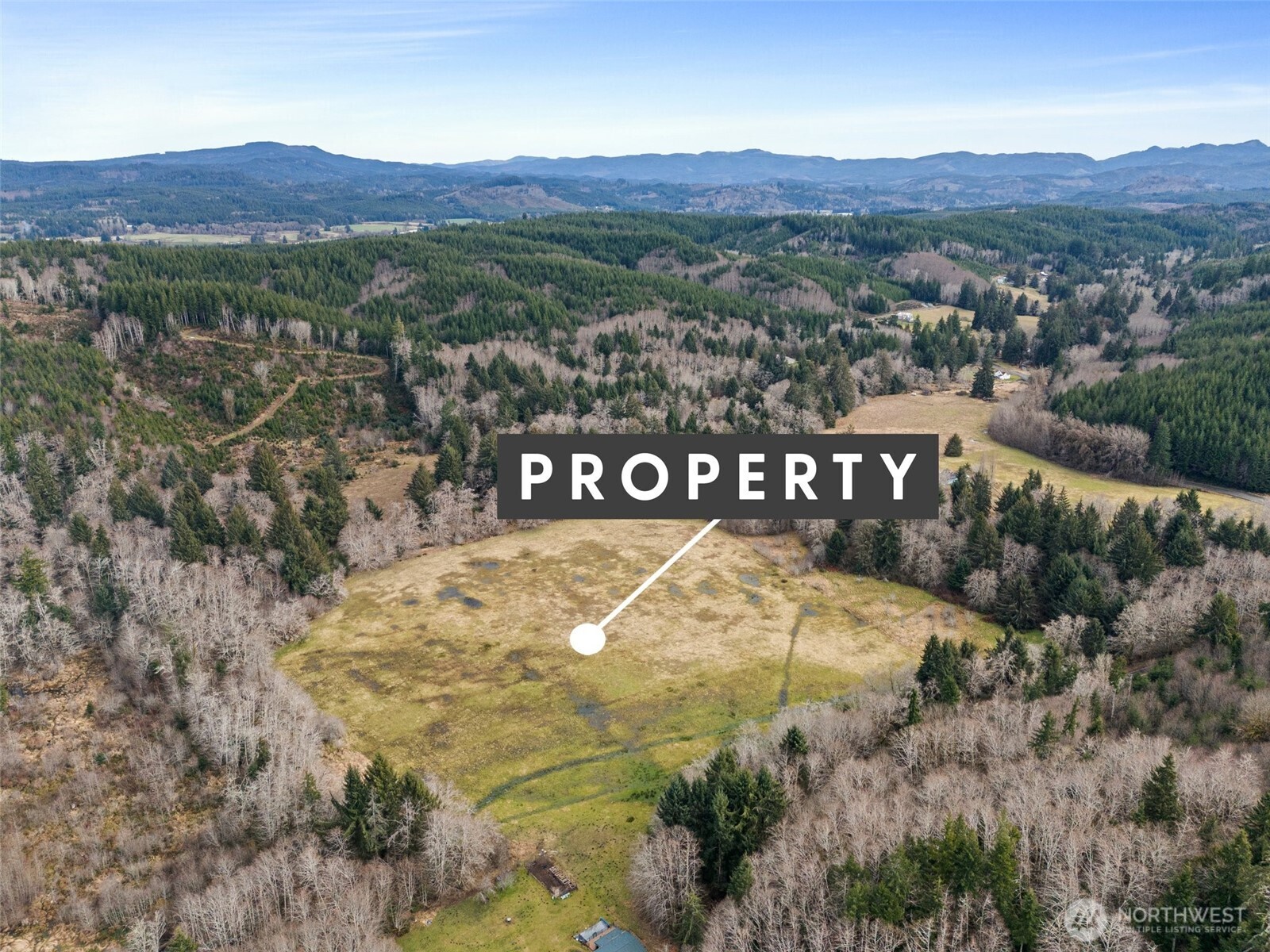 -xxx Rue Creek Road Raymond, WA 98577 - Photo 6 of 21