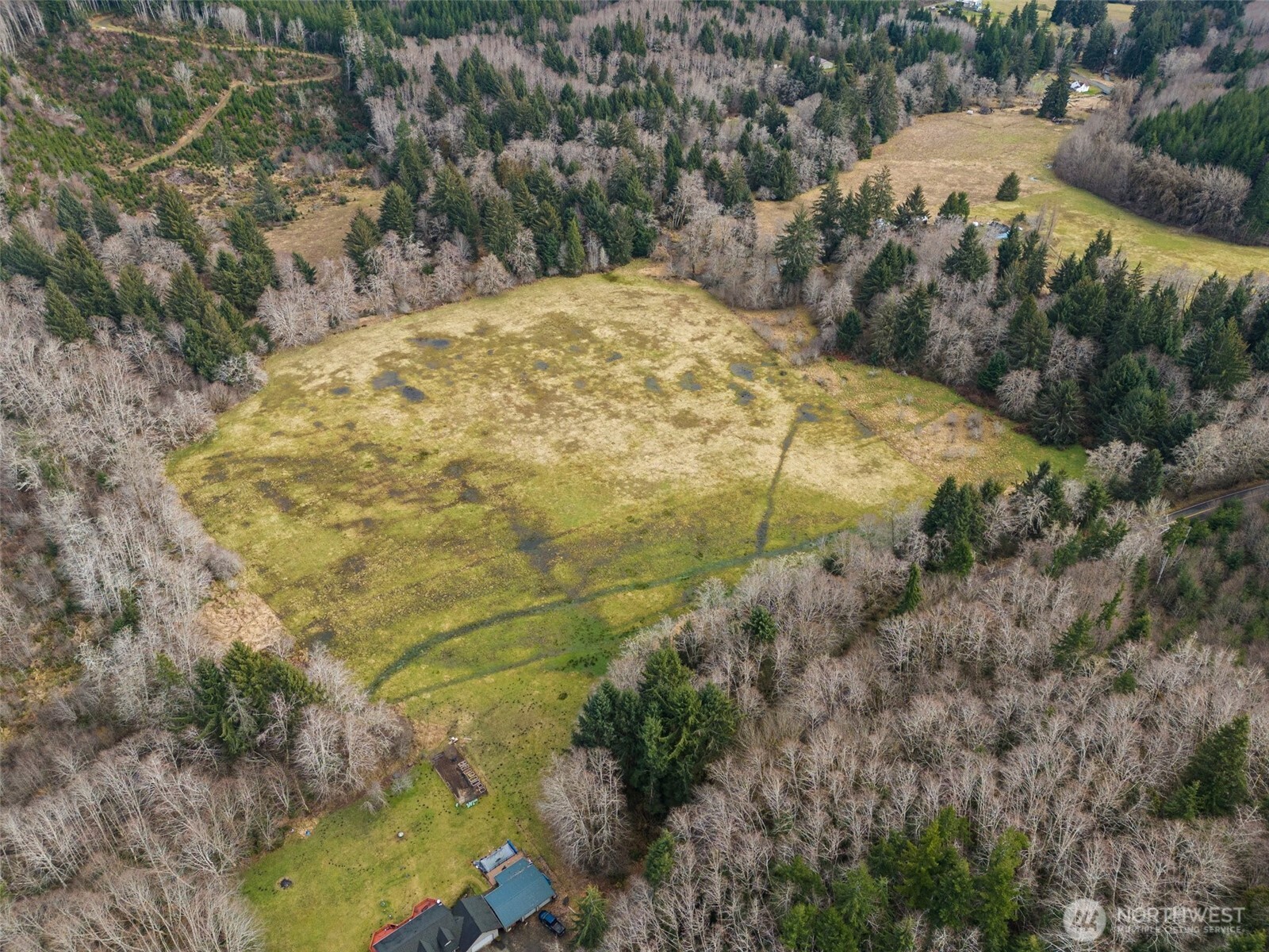 -xxx Rue Creek Road Raymond, WA 98577 - Photo 8 of 21 a view of a yard