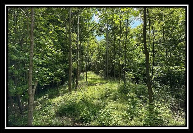 85 Weaver Road, Unit TRACT B) Chillicothe, OH 45601 - Photo 27 of 49 image026