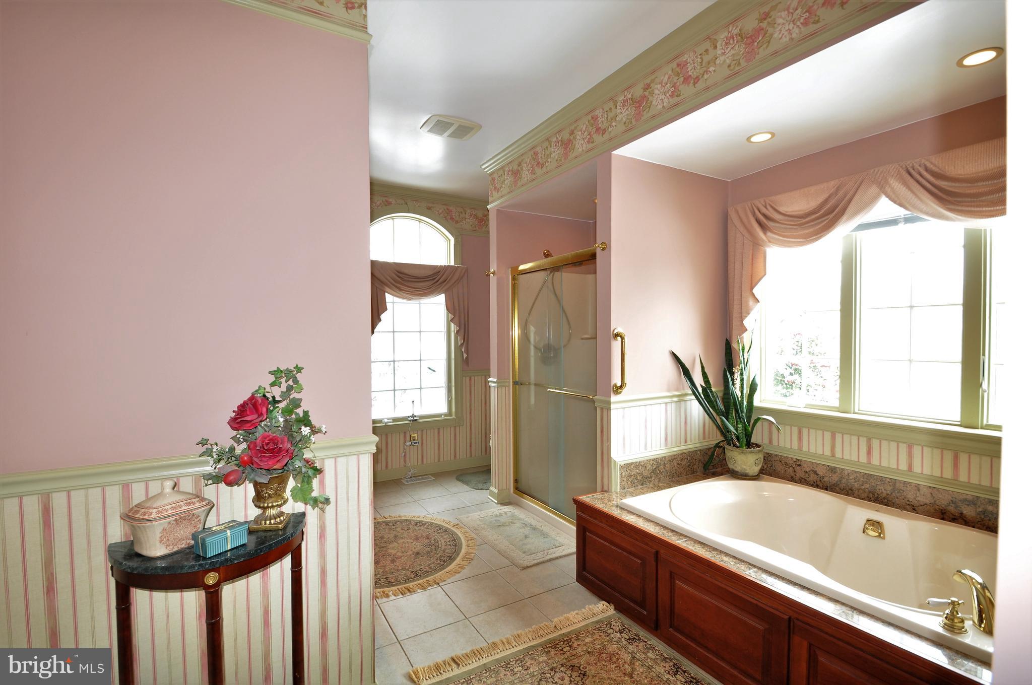 5114 Slate Mills Road Boston, VA 22713 - Photo 18 of 37 Master Bath