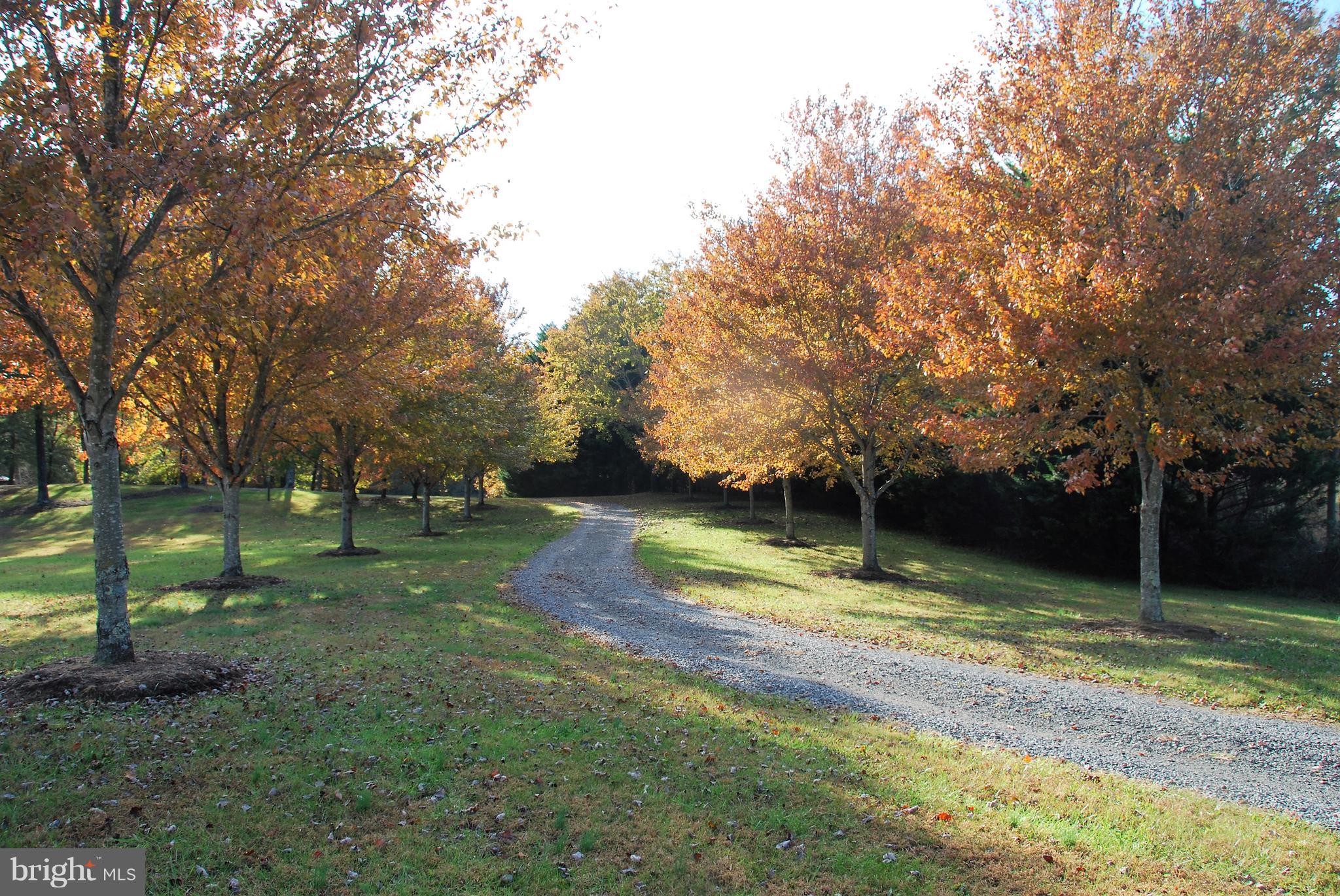 5114 Slate Mills Road Boston, VA 22713 - Photo 3 of 37 Tree Lined Drive