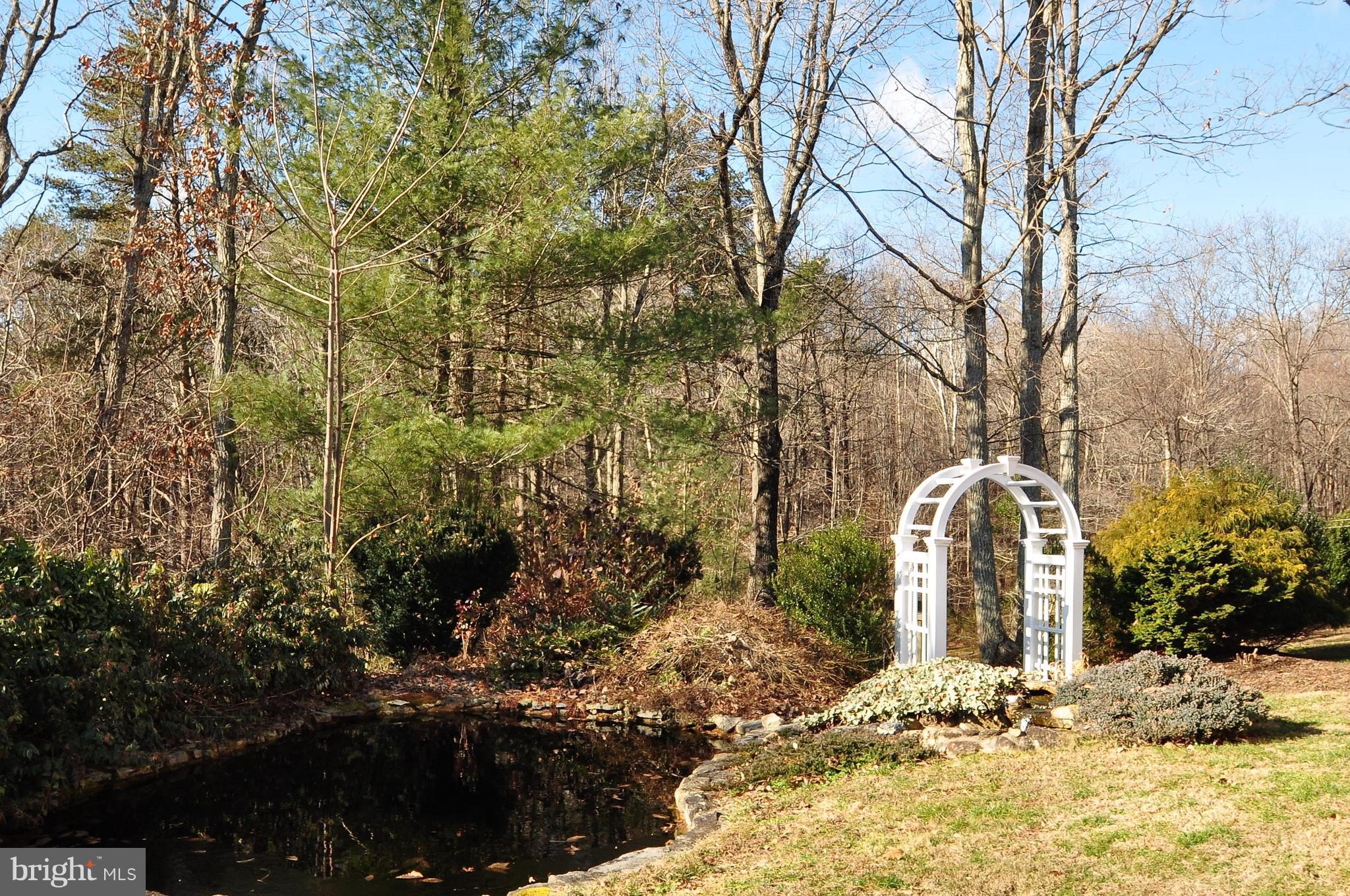 5114 Slate Mills Road Boston, VA 22713 - Photo 29 of 37 Koi Pond