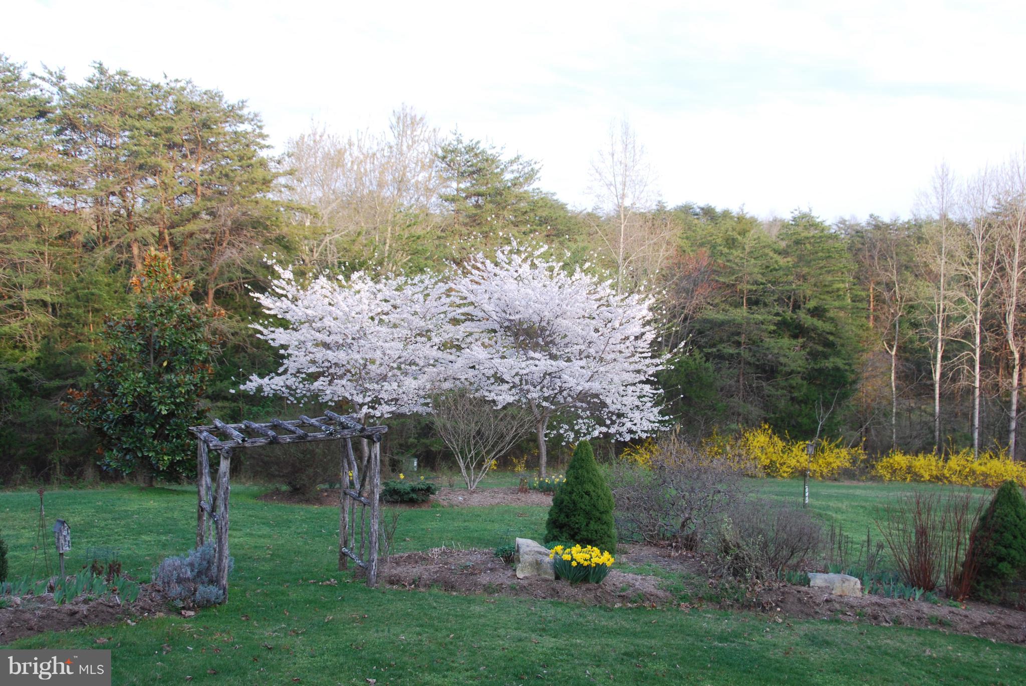 5114 Slate Mills Road Boston, VA 22713 - Photo 35 of 37 In Bloom