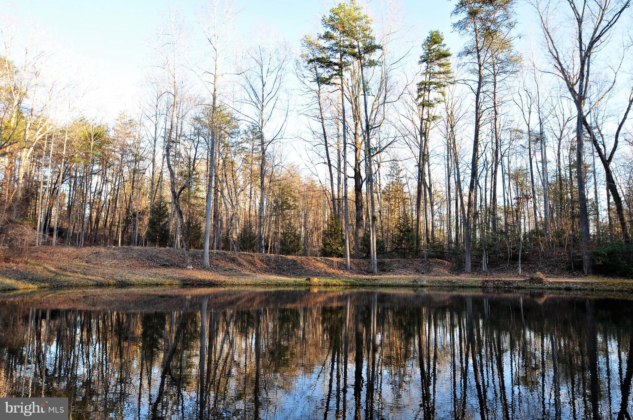 5114 Slate Mills Road Boston, VA 22713 - Photo 37 of 37 Woodland Pond