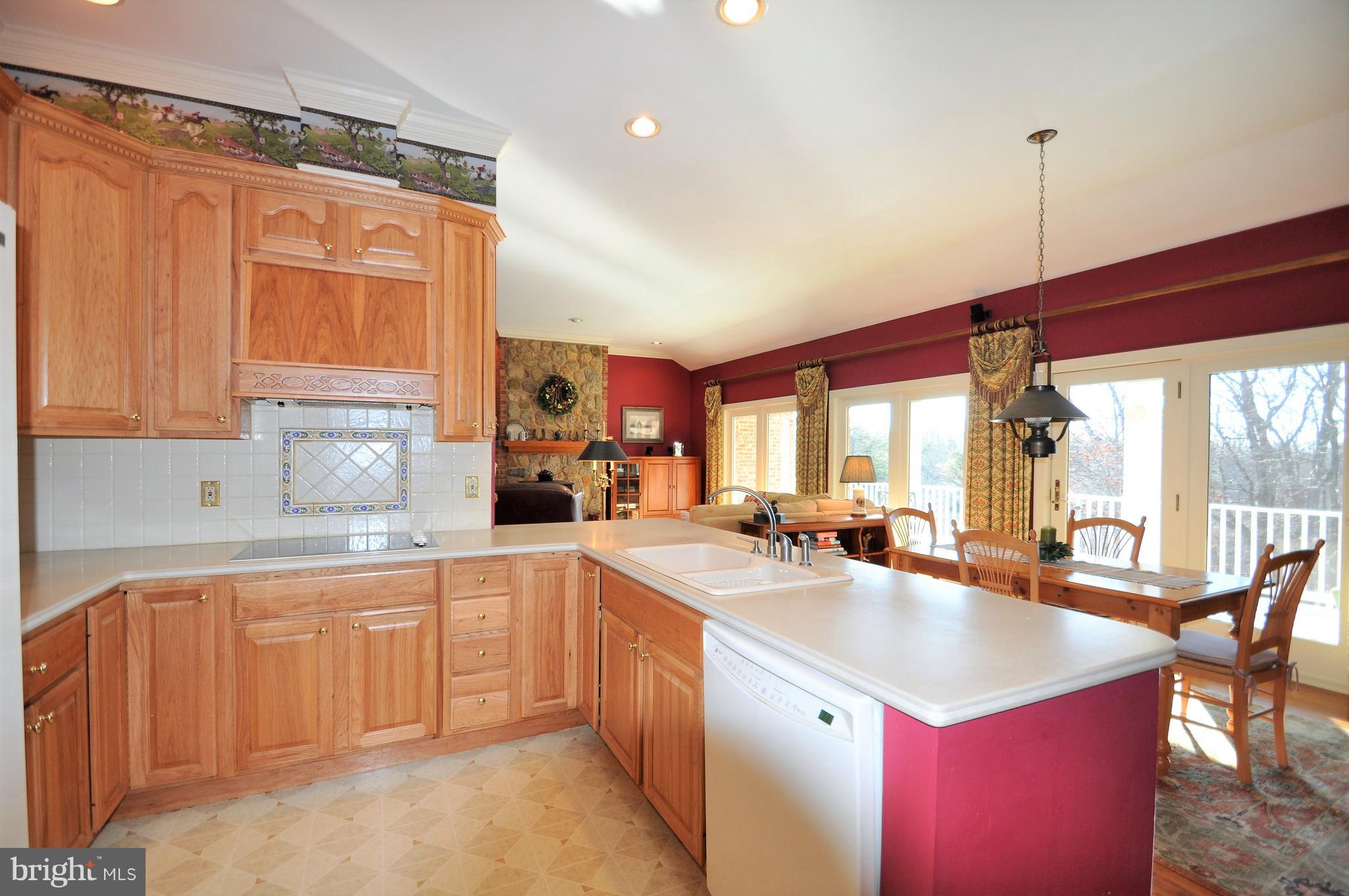 5114 Slate Mills Road Boston, VA 22713 - Photo 9 of 37 Spacious Kitchen