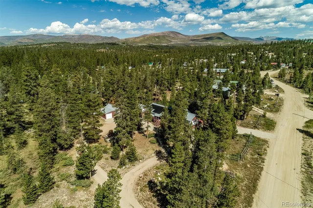 a row of palm trees and a yard with a house