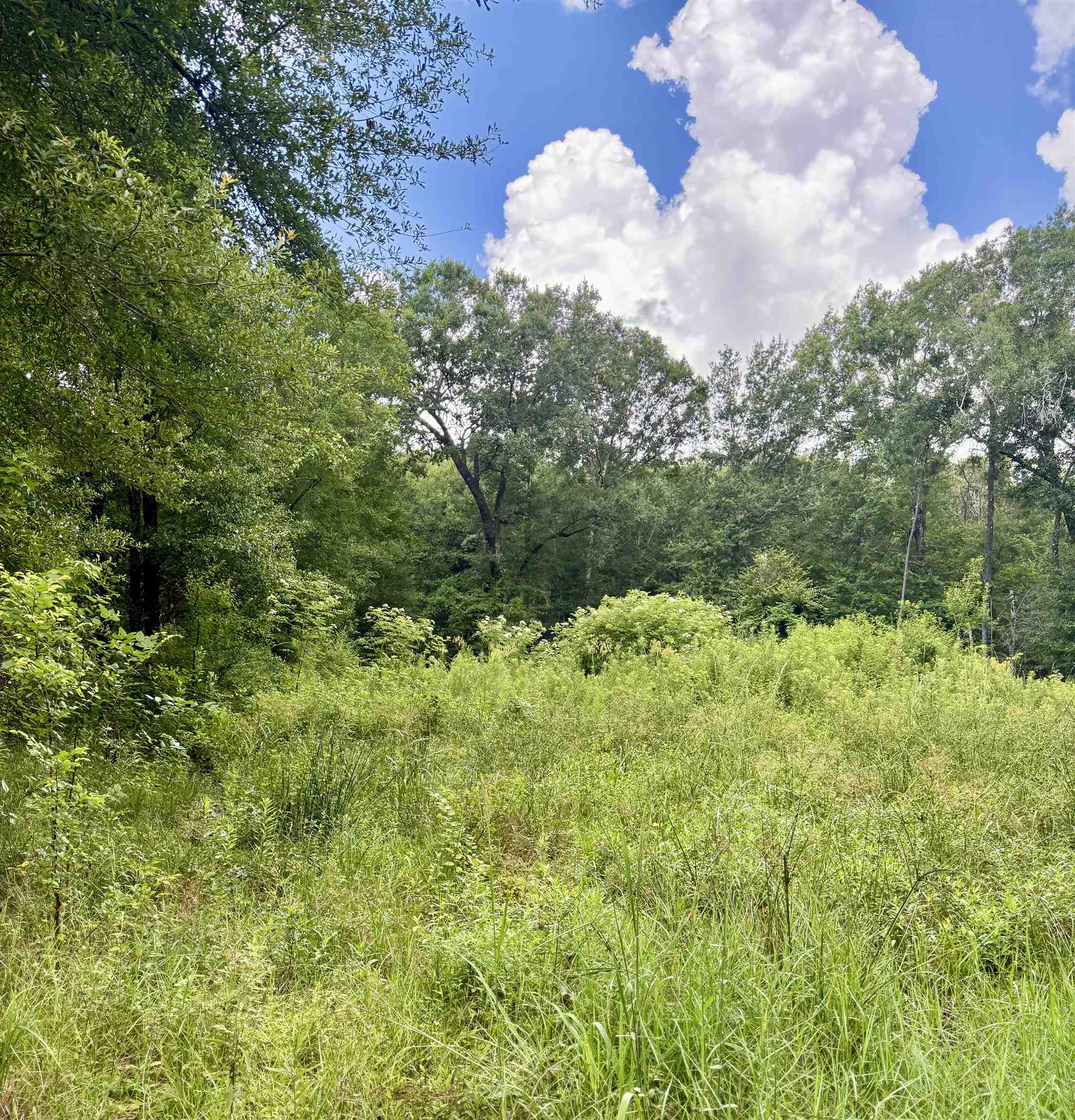 1000 Butler Road Vidor, TX 77662 - Photo 3 of 5